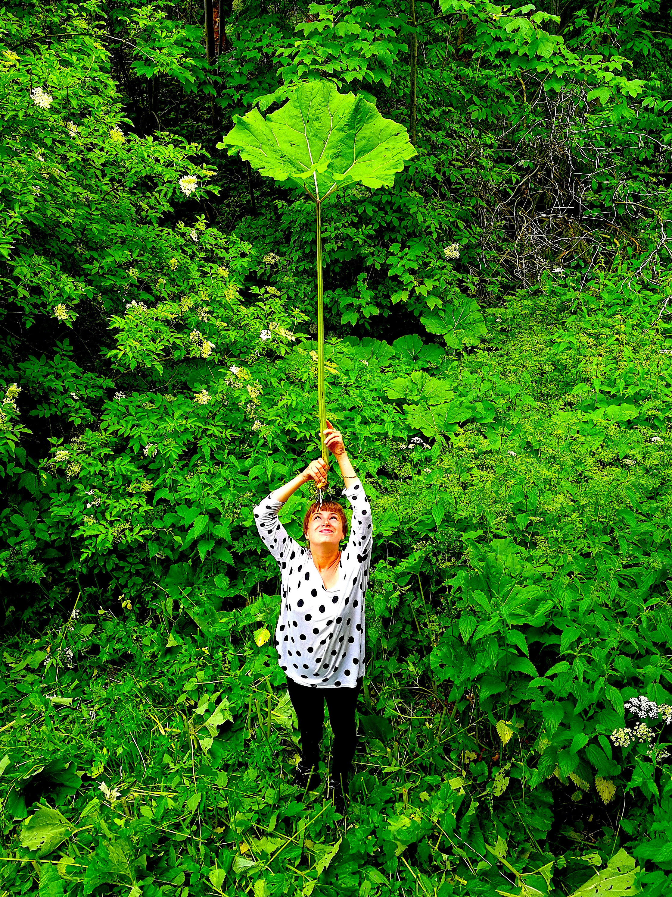 Agnieszka Żerdecka, 2017