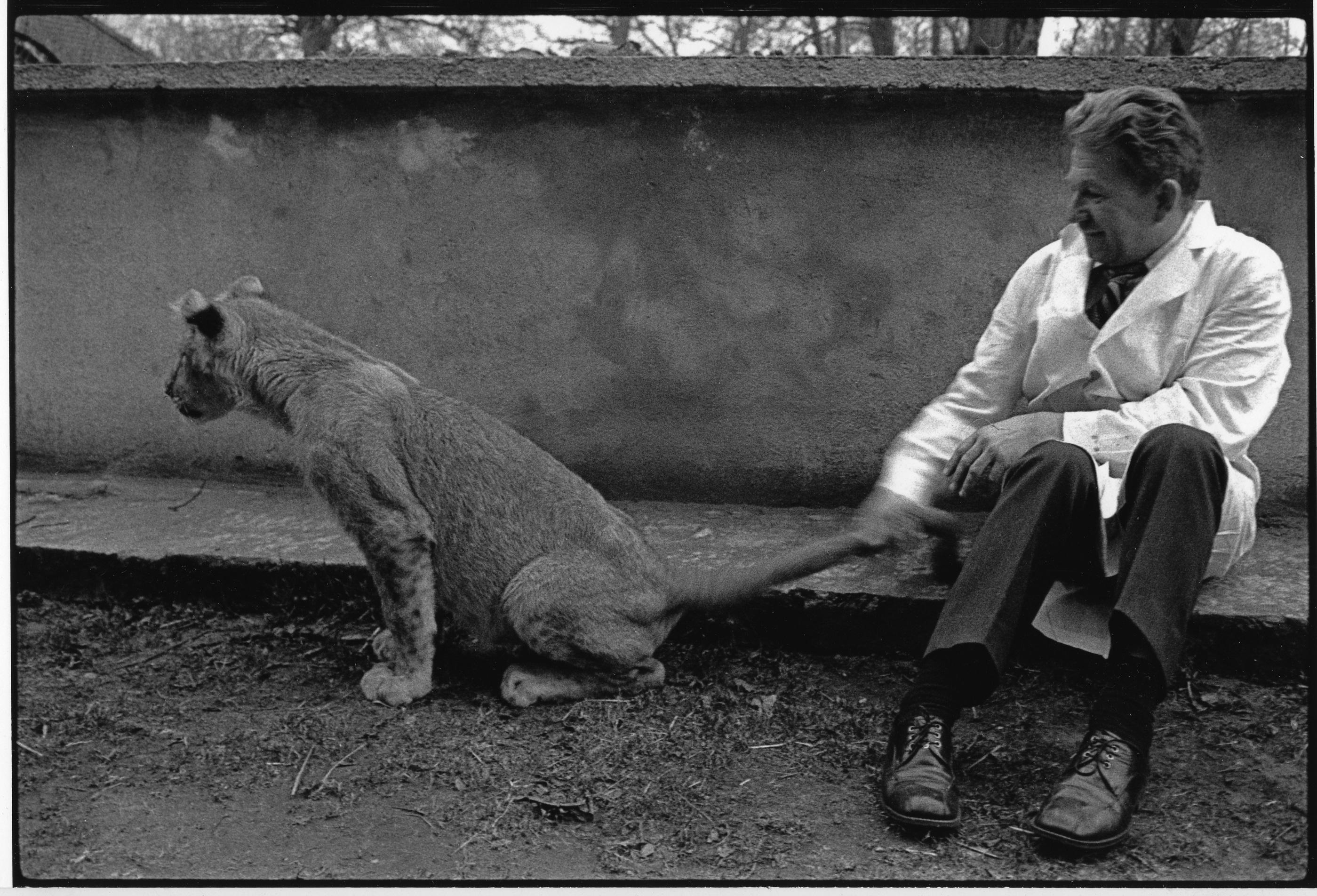 Antoni Gucwiński 1974